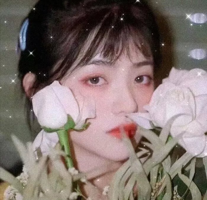 蔷薇少女 序曲